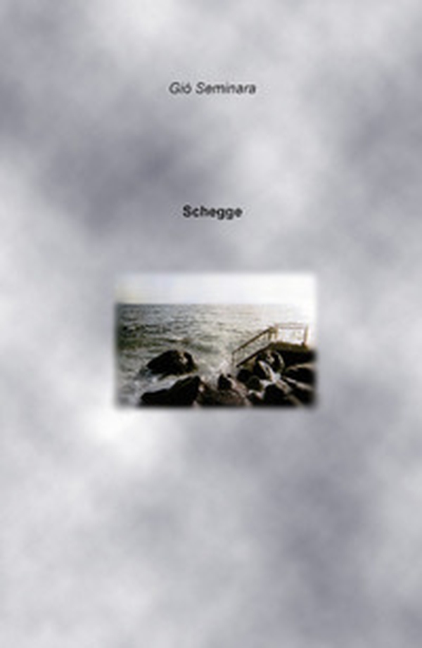 Schegge - Librerie.coop