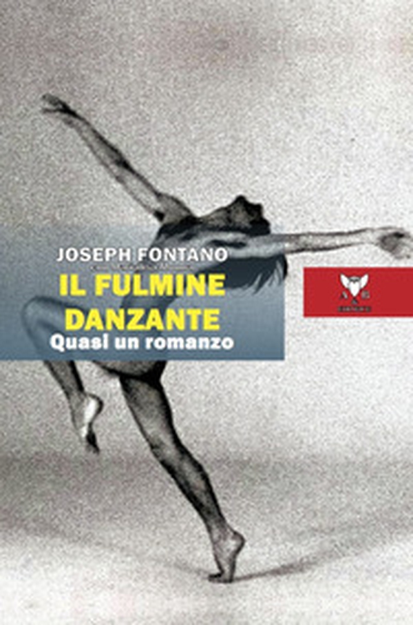 Il fulmine danzante. Quasi un romanzo - Librerie.coop Il fulmine danzante. Quasi un romanzo - Librerie.coop