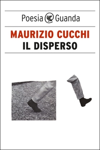 Il disperso - Librerie.coop