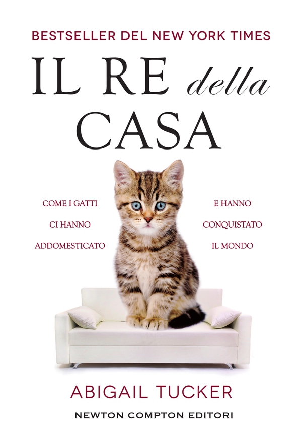 Il re della casa - Librerie.coop Il re della casa - Librerie.coop
