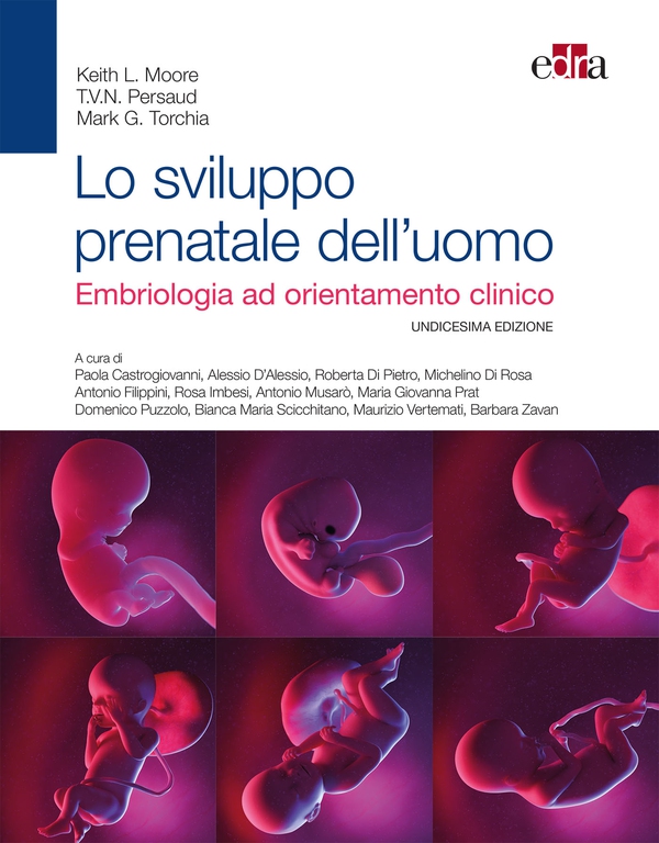 Lo sviluppo prenatale dell'uomo - Librerie.coop Lo sviluppo prenatale dell'uomo - Librerie.coop