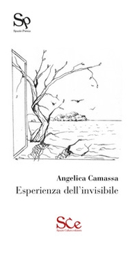Esperienza dell'invisibile - Librerie.coop