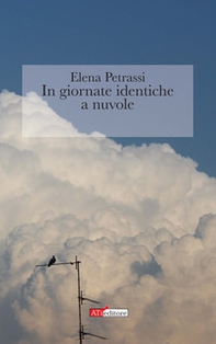 In giornate identiche a nuvole - Librerie.coop