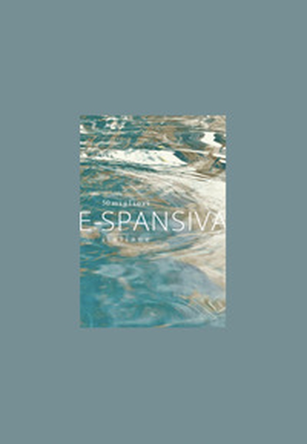 E-SPAnsiva. 50 migliori SPA italiane - Librerie.coop E-SPAnsiva. 50 migliori SPA italiane - Librerie.coop