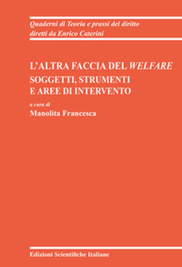 L'altra faccia del Welfare. Soggetti, strumenti e aree di intervento - Librerie.coop