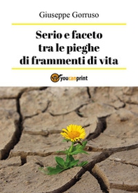 Serio e faceto tra le pieghe di frammenti di vita - Librerie.coop