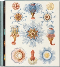 The art and science of Ernst Haeckel. Ediz. inglese, francese e tedesca - Librerie.coop