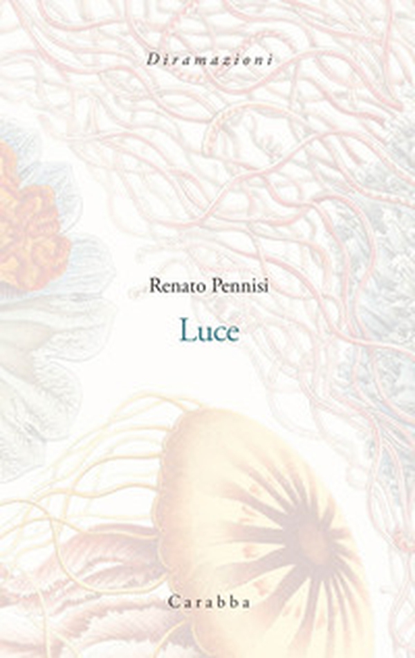 Luce - Librerie.coop Luce - Librerie.coop