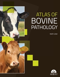 Atlas of bovine pathology - Librerie.coop