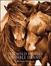 The wild horses of sable islands - Librerie.coop