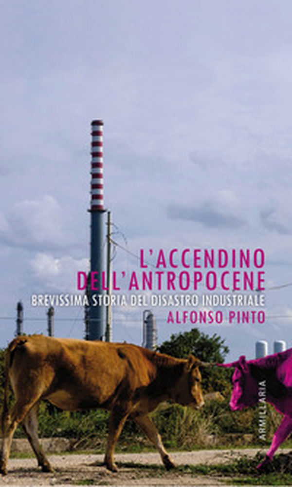 L'accendino dell'Antropocene. Brevissima storia del disastro industriale - Librerie.coop L'accendino dell'Antropocene. Brevissima storia del disastro industriale - Librerie.coop