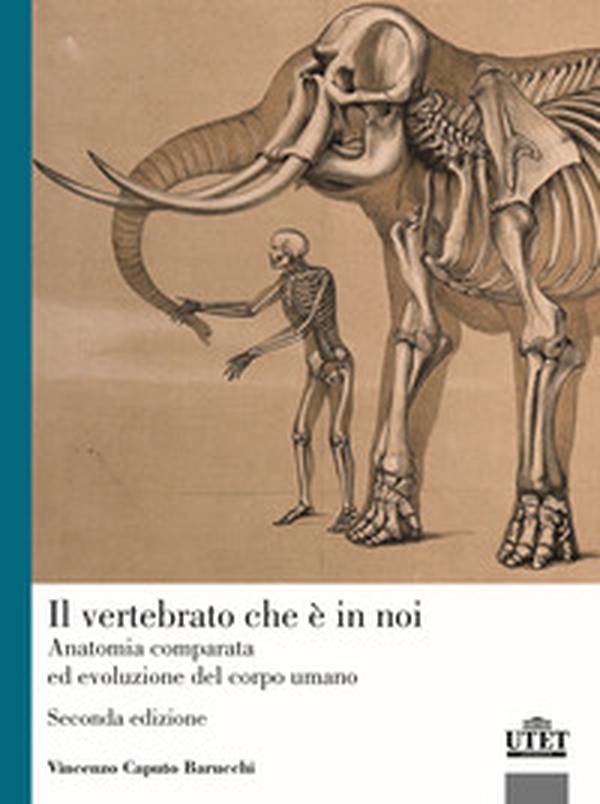 Il vertebrato che è in noi. Anatomia comparata ed evoluzione del corpo umano - Librerie.coop