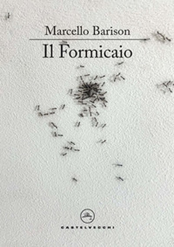 Il formicaio. Un resoconto - Librerie.coop Il formicaio. Un resoconto - Librerie.coop