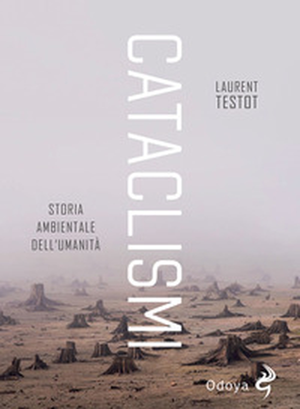 Cataclismi. Storia ambientale dell'umanità - Librerie.coop Cataclismi. Storia ambientale dell'umanità - Librerie.coop