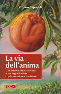 La via dell'anima. Dall'alchimia alla psicoterapia le sue leggi misteriose ci guidano a ritrovare noi stessi - Librerie.coop