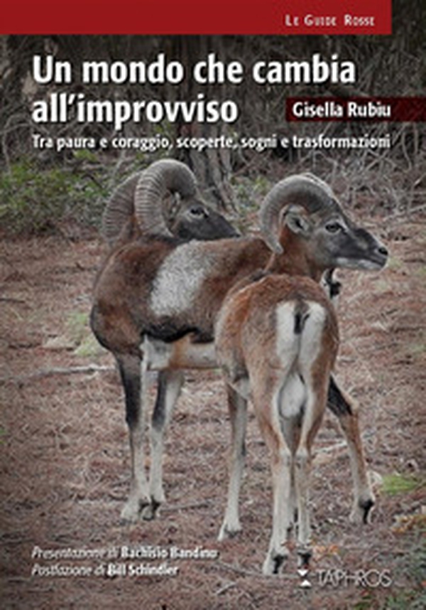 Un mondo che cambia all'improvviso. Tra paura e coraggio, scoperte, sogni e trasformazioni - Librerie.coop Un mondo che cambia all'improvviso. Tra paura e coraggio, scoperte, sogni e trasformazioni - Librerie.coop