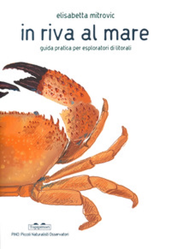In riva al mare. Guida pratica per esploratori di litorali - Librerie.coop In riva al mare. Guida pratica per esploratori di litorali - Librerie.coop