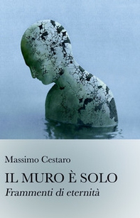 Il muro e solo. Frammenti di eternita - Librerie.coop
