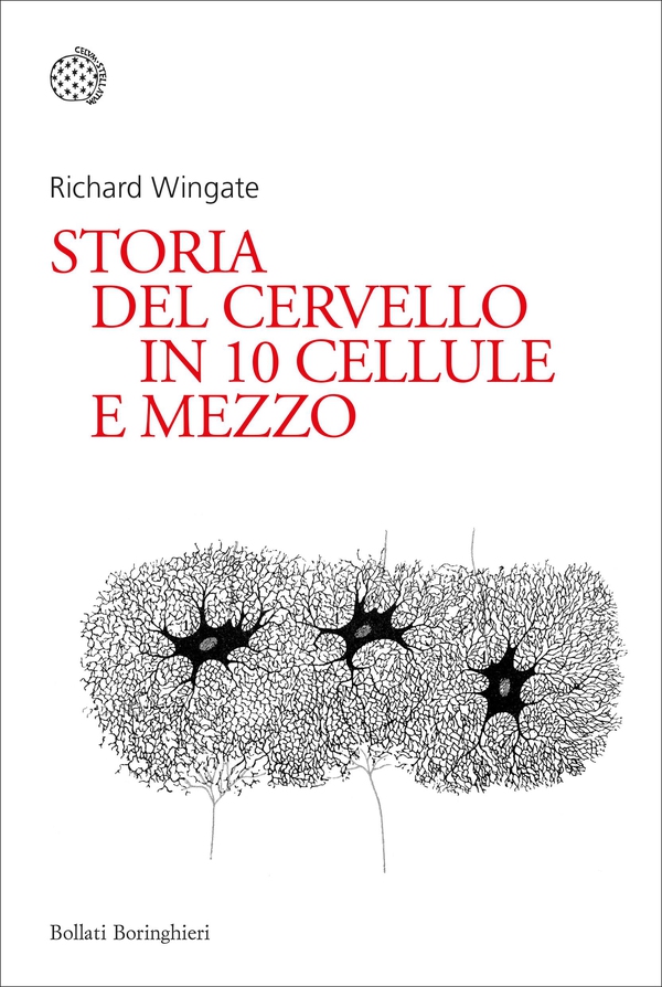 Storia del cervello in 10 cellule e mezzo - Librerie.coop Storia del cervello in 10 cellule e mezzo - Librerie.coop