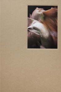 China Dream - Librerie.coop