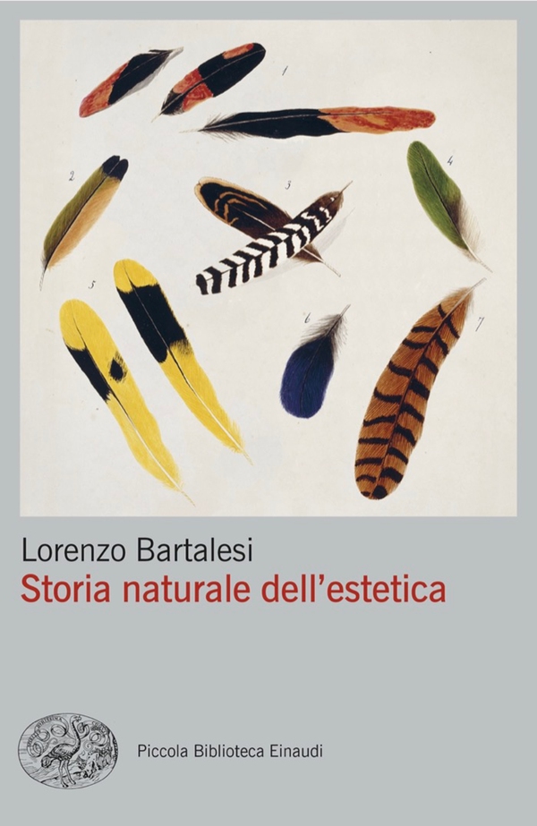 Storia naturale dell'estetica - Librerie.coop Storia naturale dell'estetica - Librerie.coop