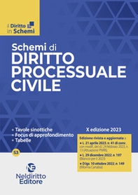Schemi di diritto processuale civile - Librerie.coop