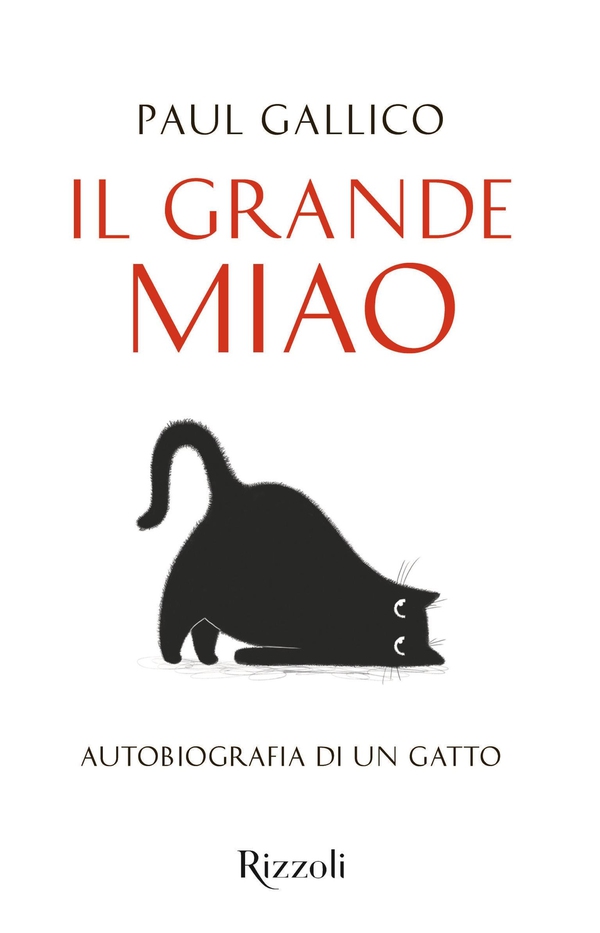 Il grande miao - Librerie.coop Il grande miao - Librerie.coop
