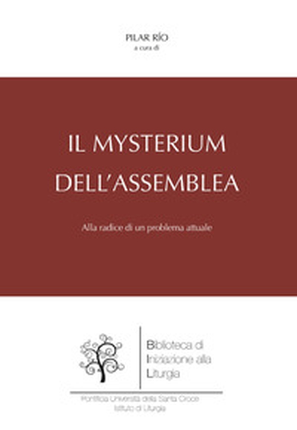 Il mysterium dell'Assemblea. Alla radice di un problema attuale - Librerie.coop Il mysterium dell'Assemblea. Alla radice di un problema attuale - Librerie.coop