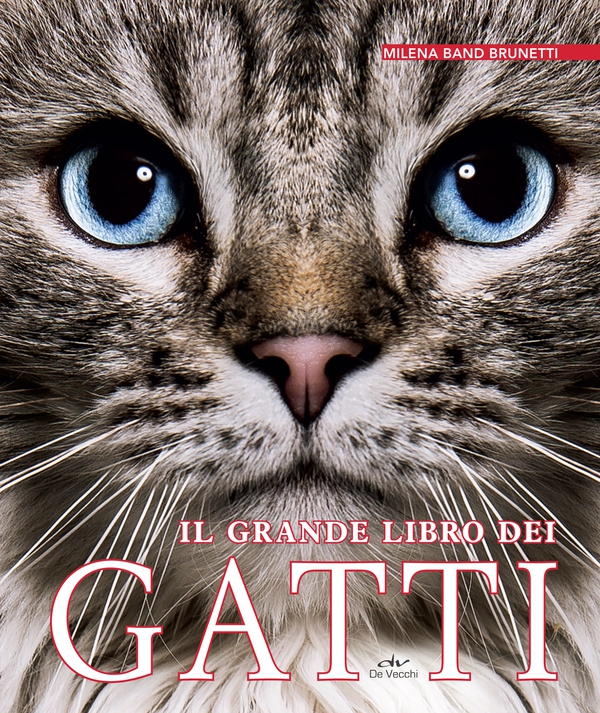 Il grande libro dei gatti - Librerie.coop Il grande libro dei gatti - Librerie.coop
