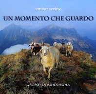 Un momento che guardo. Scorci d'avventura in un'alpina commedia a favor di natura - Librerie.coop