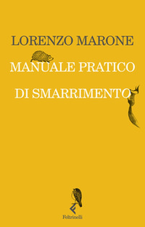 Manuale pratico di smarrimento - Librerie.coop