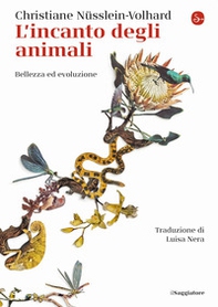 L'incanto degli animali. Bellezza ed evoluzione - Librerie.coop L'incanto degli animali. Bellezza ed evoluzione - Librerie.coop