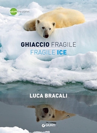 Ghiaccio fragile-Fragile ice - Librerie.coop