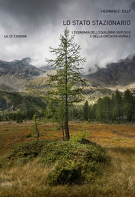 Lo stato stazionario. L'economia dell'equilibrio biofisico e della crescita morale - Librerie.coop
