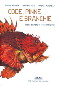 Code, pinne e branchie. Piccolo atlante per conoscere i pesci - Librerie.coop