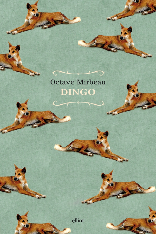 Dingo - Librerie.coop Dingo - Librerie.coop