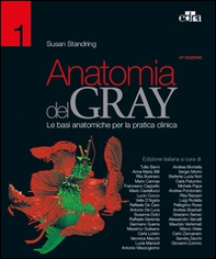 Anatomia del Gray. Le basi anatomiche per la pratica clinica - Librerie.coop