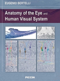 Anatomy of the eye and human visual system - Librerie.coop