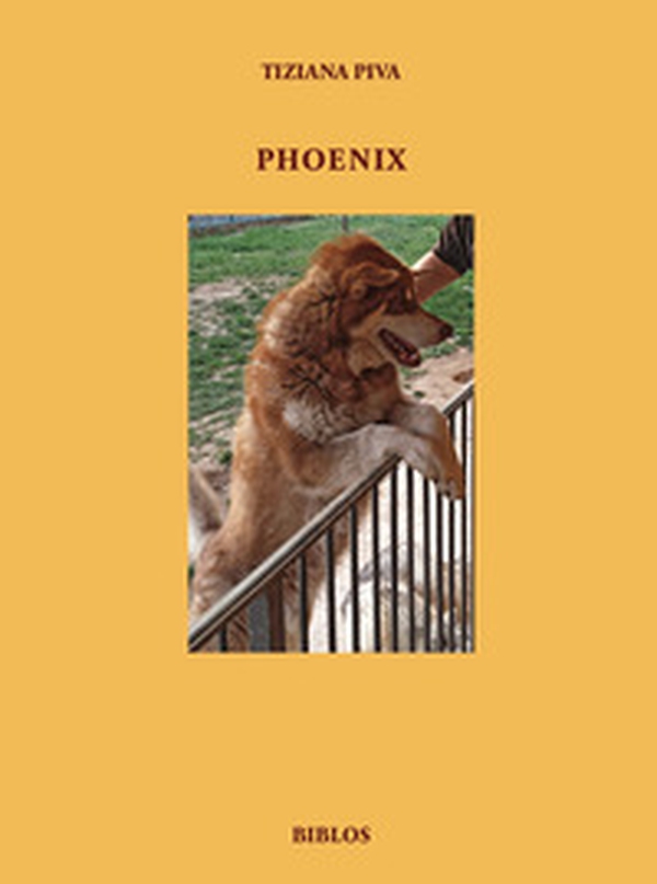 Phoenix - Librerie.coop Phoenix - Librerie.coop
