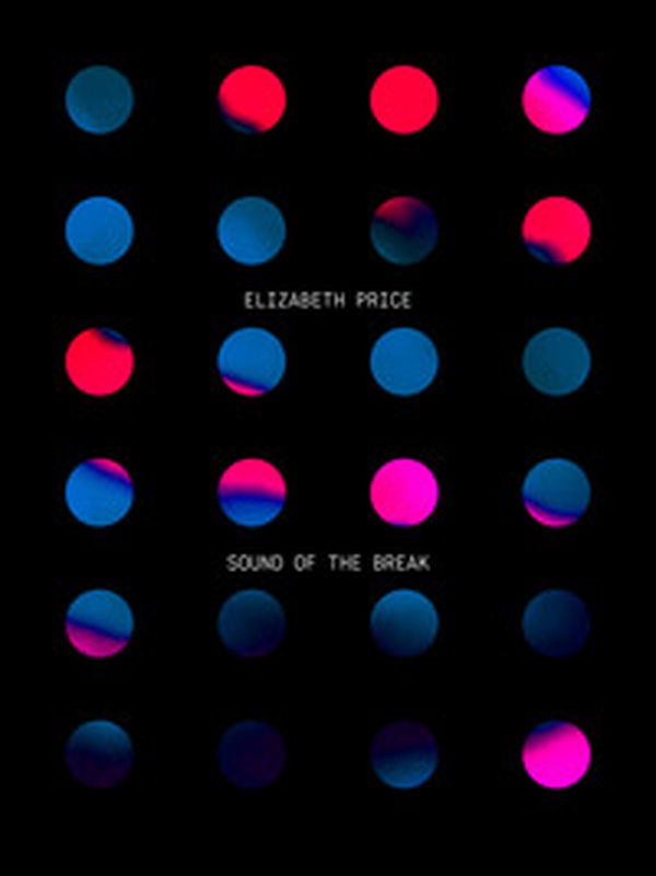 Elizabeth Price. Sound of the break. Ediz. inglese e tedesca - Librerie.coop Elizabeth Price. Sound of the break. Ediz. inglese e tedesca - Librerie.coop