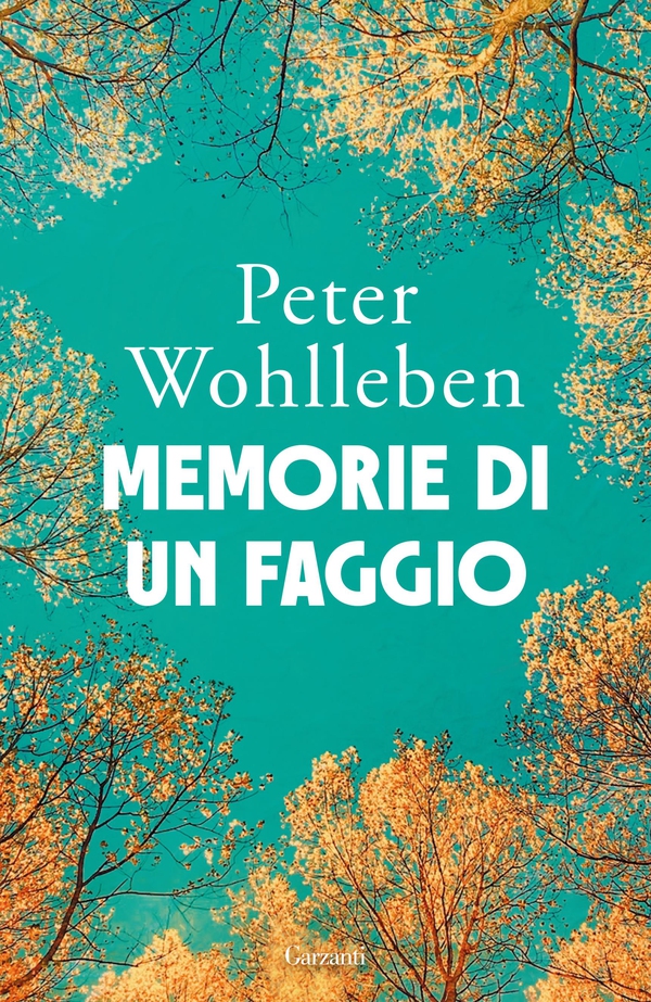 Memorie di un faggio - Librerie.coop Memorie di un faggio - Librerie.coop