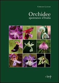 Orchidee spontanee d'Italia - Librerie.coop