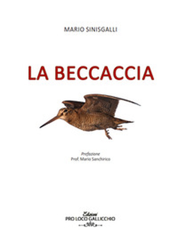 La beccaccia - Librerie.coop La beccaccia - Librerie.coop