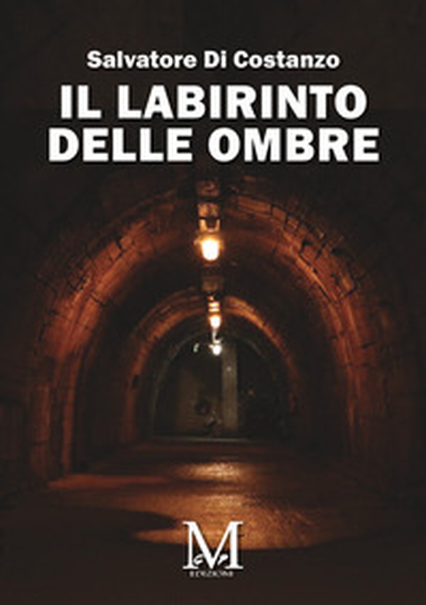 Il labirinto delle ombre - Librerie.coop