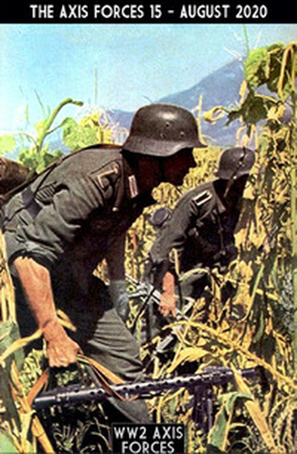 The Axis forces - Librerie.coop The Axis forces - Librerie.coop