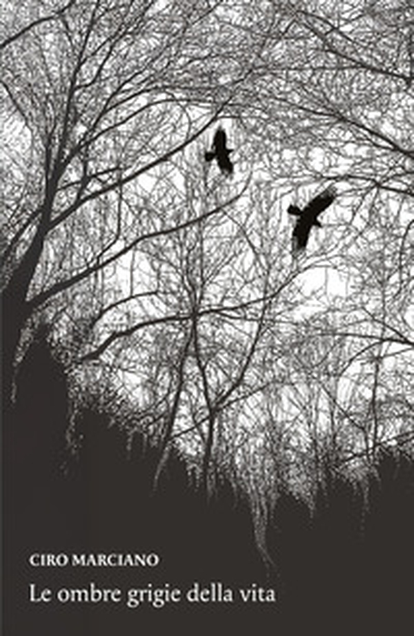 Le ombre grigie della vita - Librerie.coop