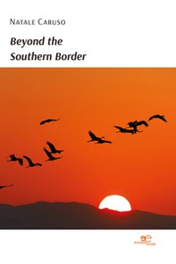 Beyond the southern border - Librerie.coop