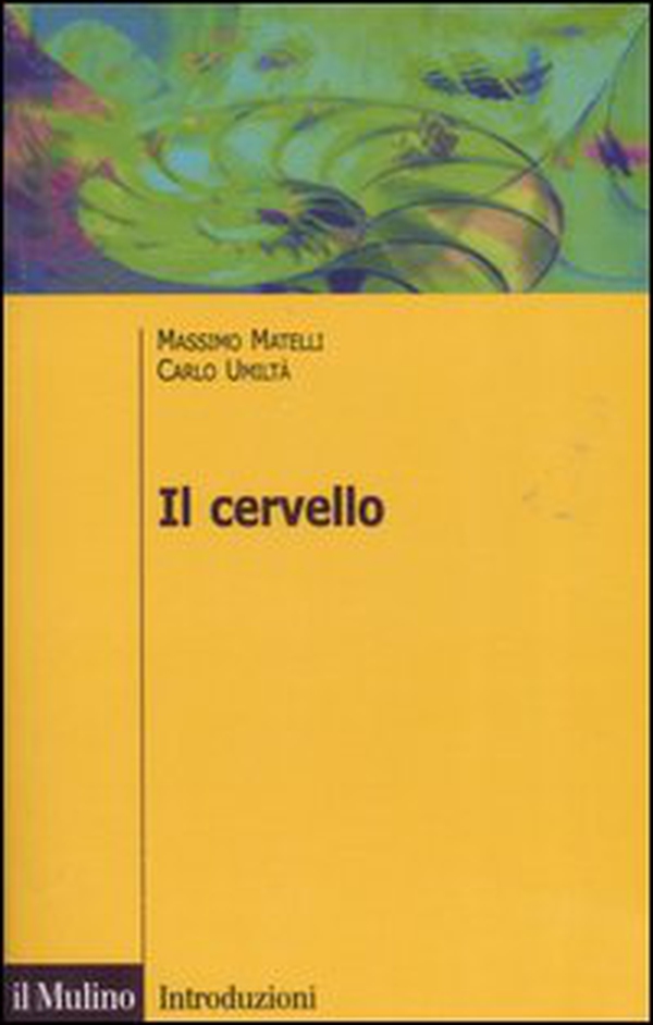 Il cervello. Anatomia e funzione del Sistema nervoso centrale - Librerie.coop Il cervello. Anatomia e funzione del Sistema nervoso centrale - Librerie.coop