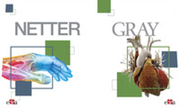 Netter Gray. L'anatomia: Anatomia del Gray-Atlante di anatomia umana di Netter - Librerie.coop Netter Gray. L'anatomia: Anatomia del Gray-Atlante di anatomia umana di Netter - Librerie.coop