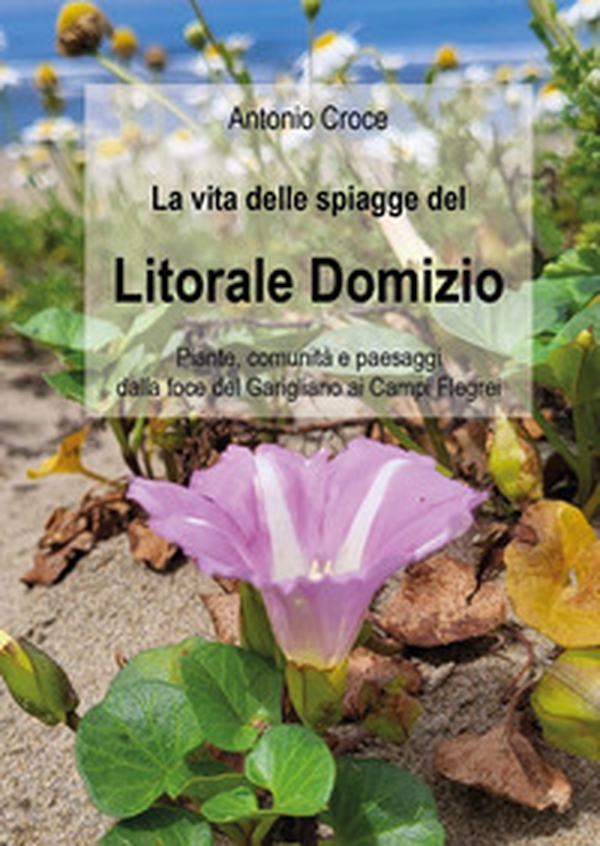 La vita delle spiagge del Litorale Domizio. Piante, comunità e paesaggi dalla foce del Garigliano ai Campi Flegrei - Librerie.coop La vita delle spiagge del Litorale Domizio. Piante, comunità e paesaggi dalla foce del Garigliano ai Campi Flegrei - Librerie.coop